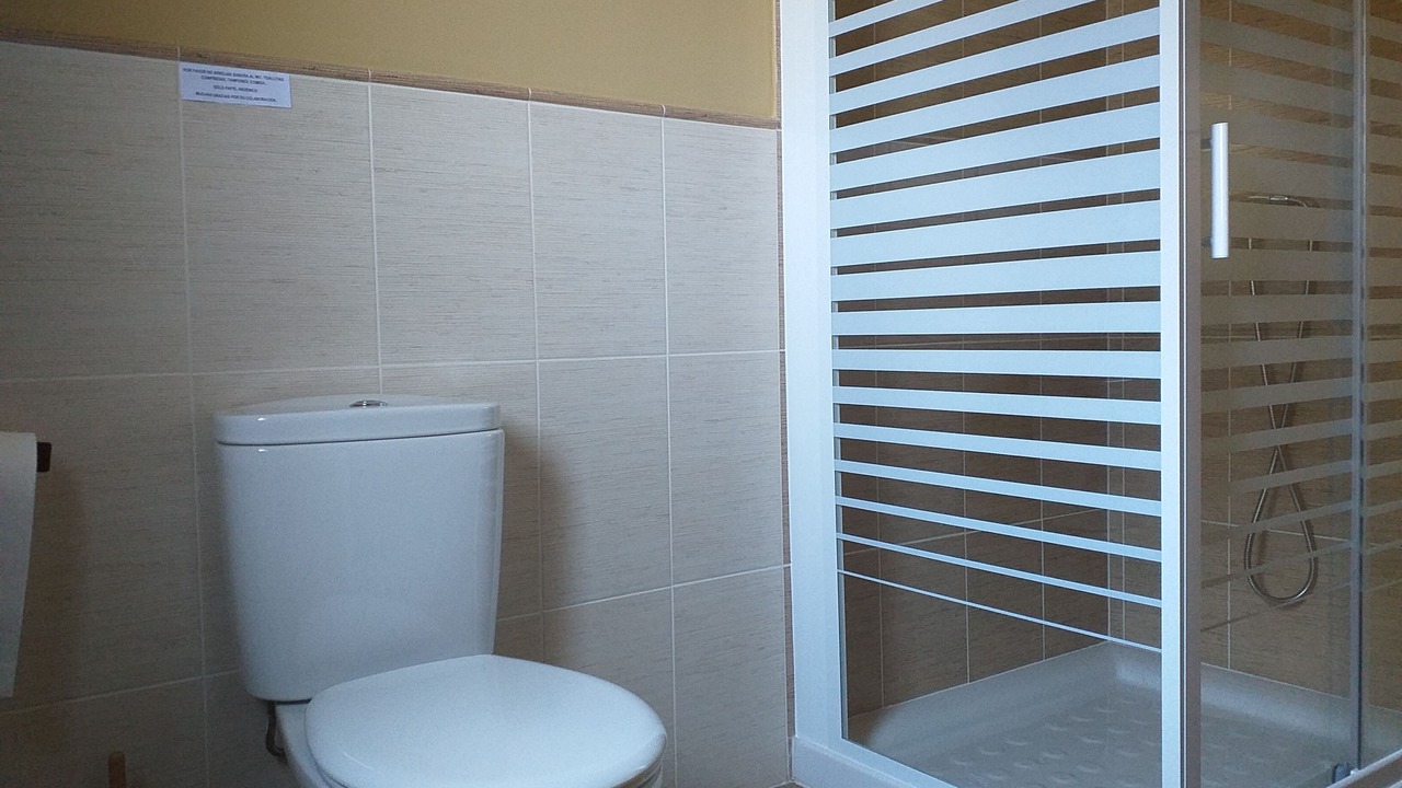 Photo of Bathroom in Candeleda