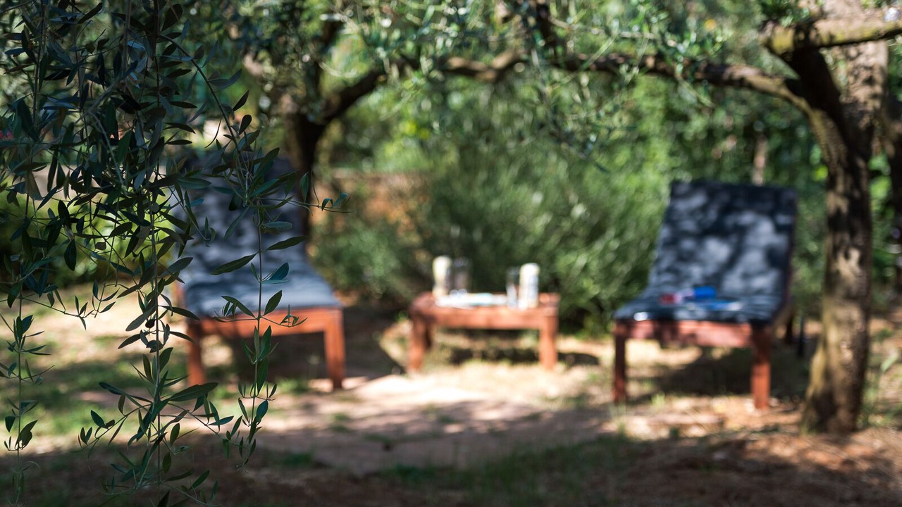 Photo of Outdoor in Skatari