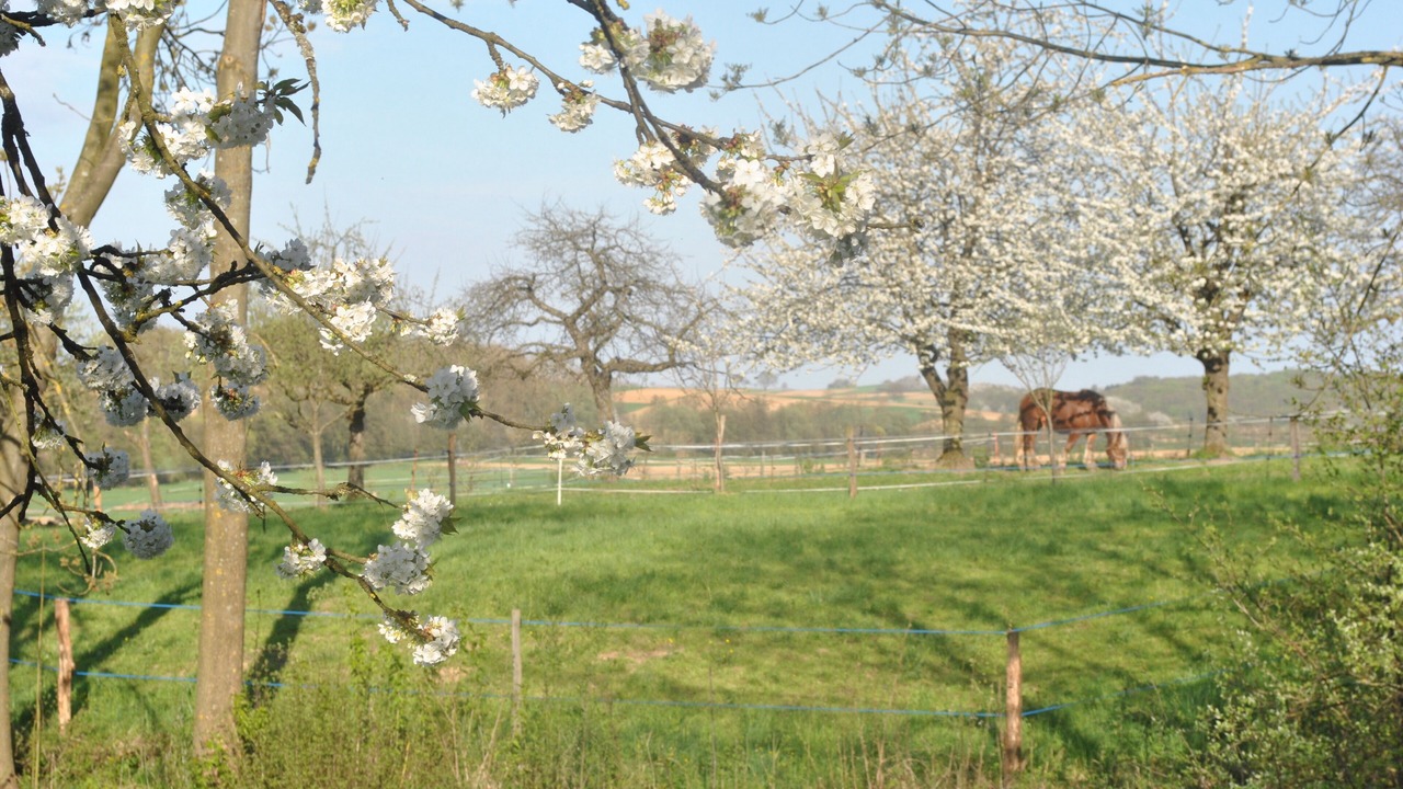 Photo of Outdoor in Hoffen