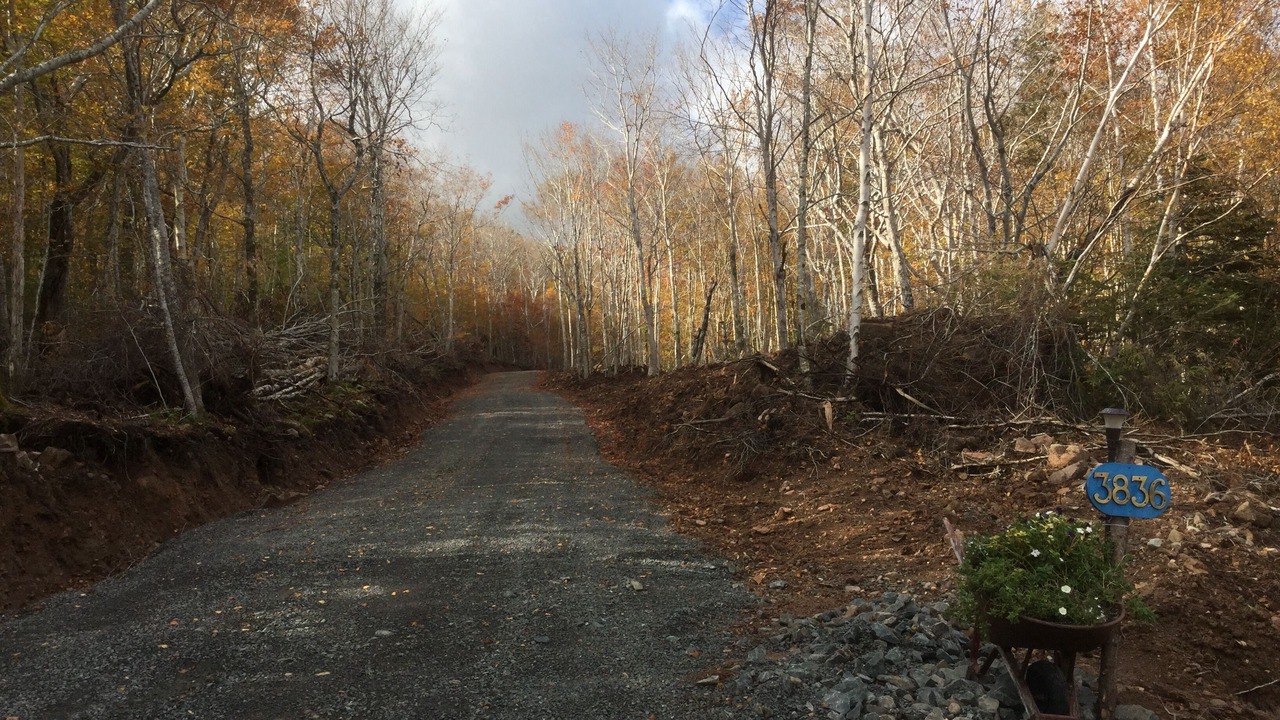 Photo of Outdoor in Inverness County