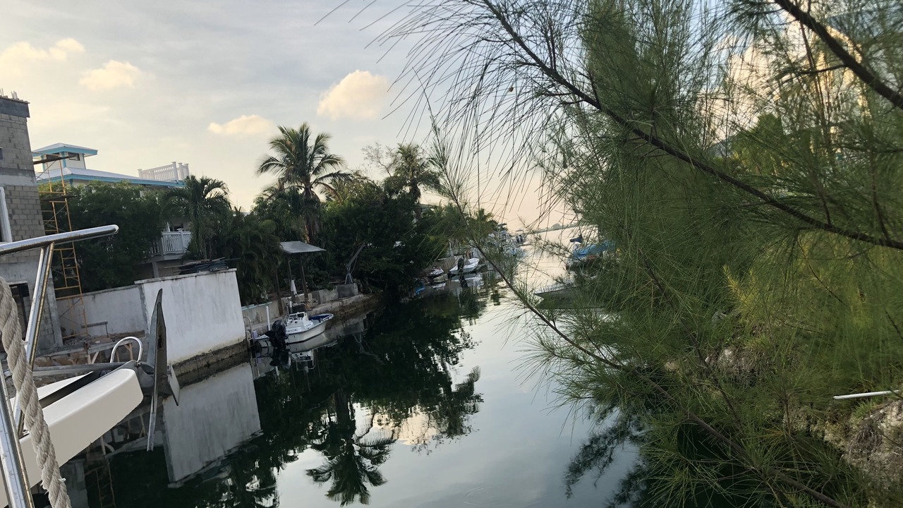 Photo of Others in Big Coppitt Key