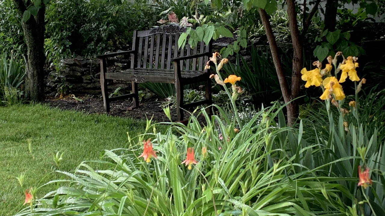 Photo of Outdoor in Oldenburg