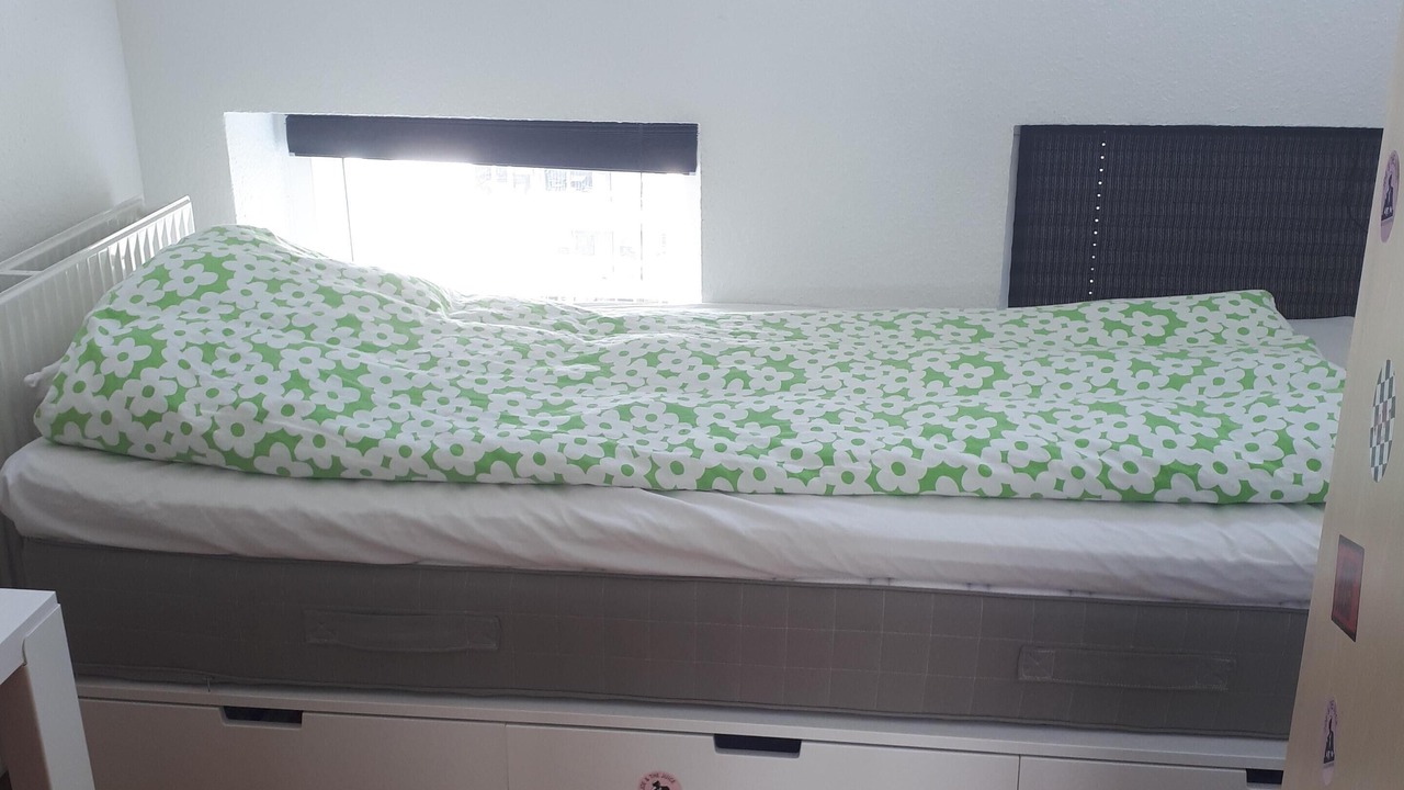 Photo of Others in Amager