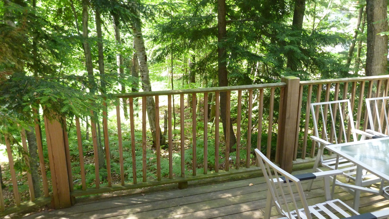Photo of Outdoor in Petoskey