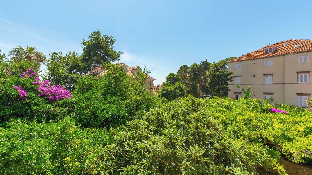 Photo of Outdoor in Pile