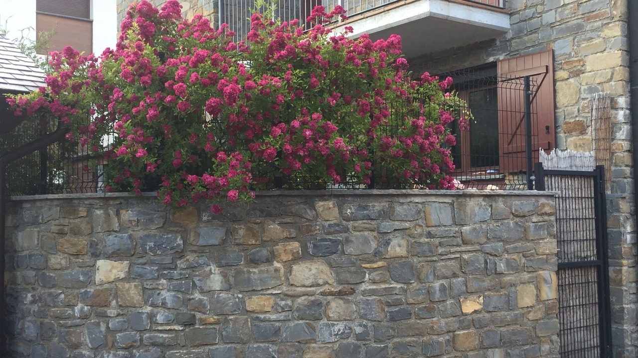 Photo of Outdoor in Villanua