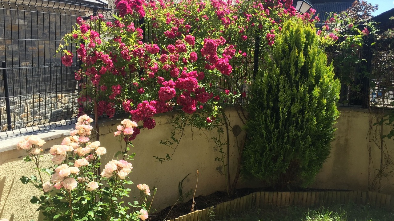 Photo of Outdoor in Villanua