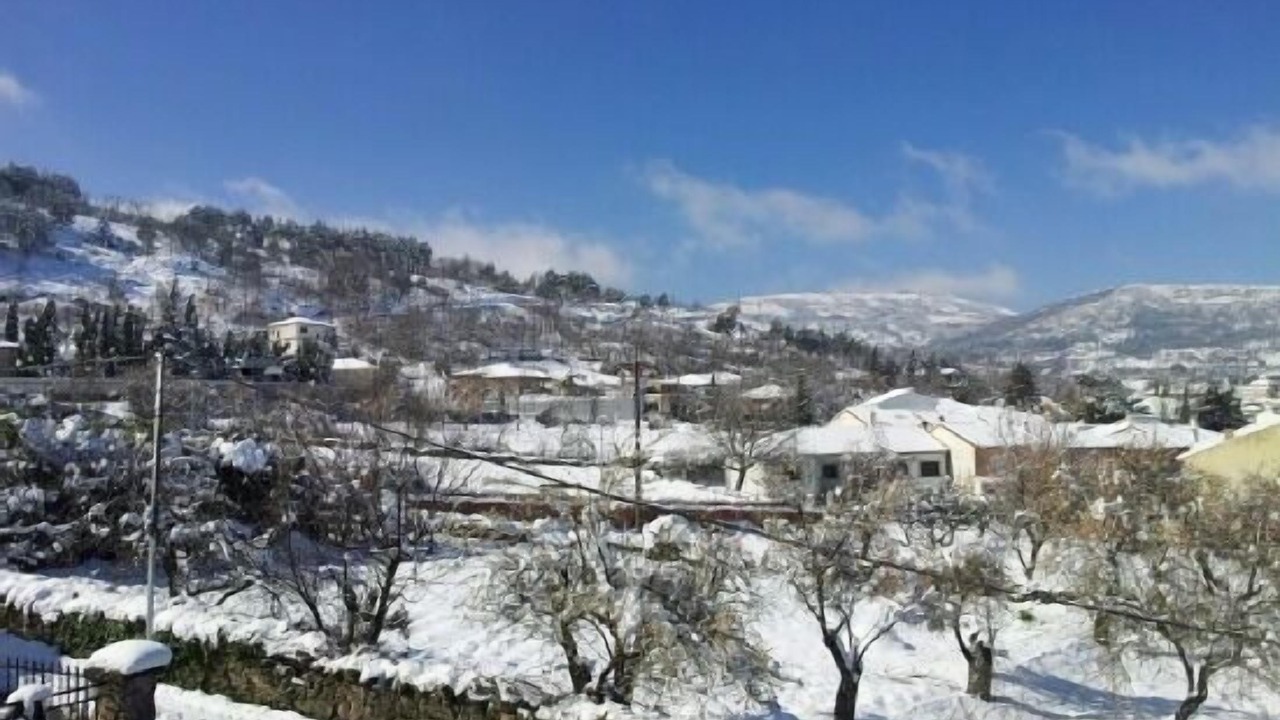 Photo of Others in San Pablo de los Montes
