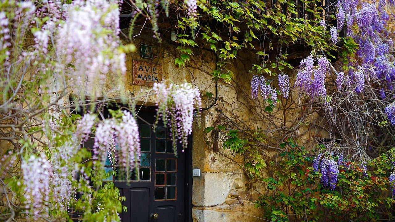 Photo of Outdoor in Orozko