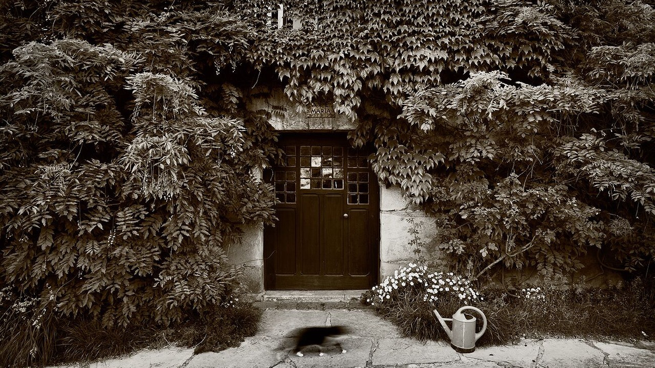 Photo of Outdoor in Orozko