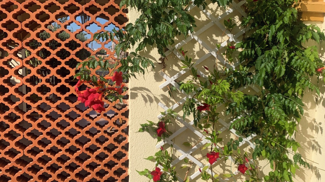 Photo of Outdoor in Playa Flamenca
