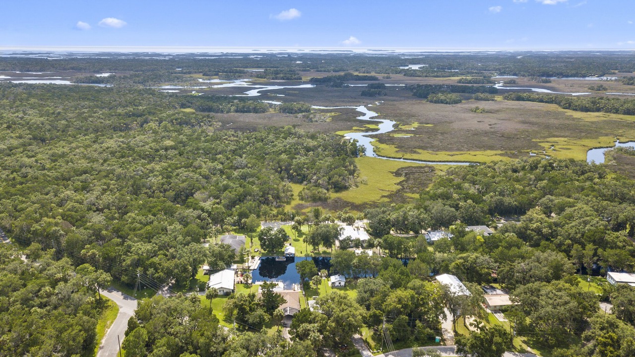 Photo of Outdoor in Homosassa