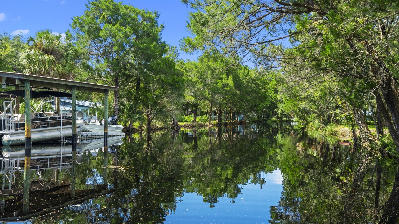 Photo of Others in Homosassa