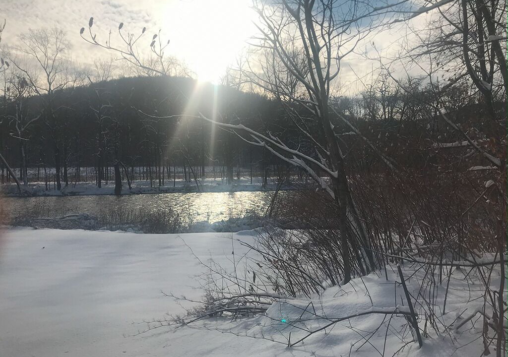 Photo of Others in Greenwich