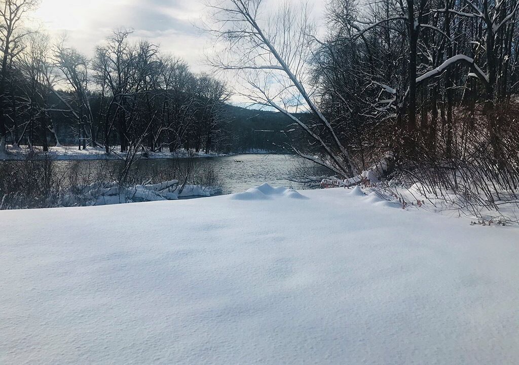 Photo of Others in Greenwich