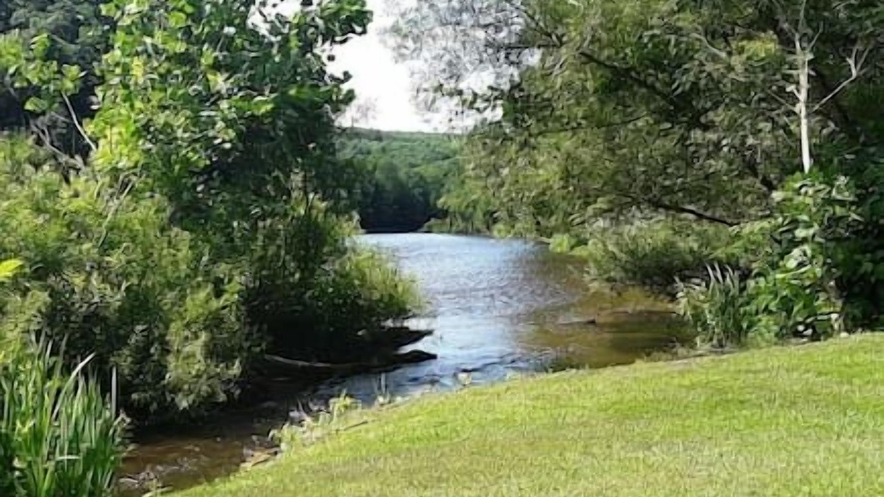 Photo of Others in Greenwich