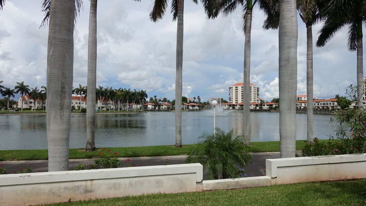 Photo of Outdoor in St. Petersburg
