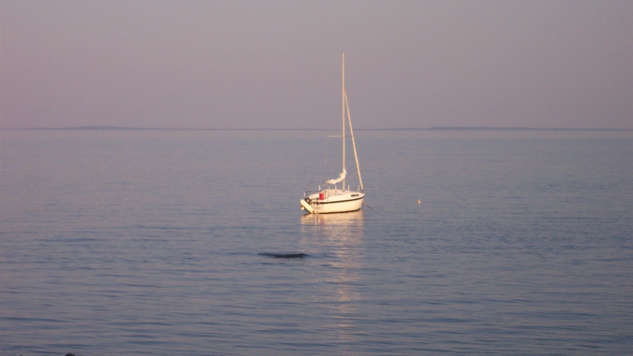 Photo of Others in Nadeau