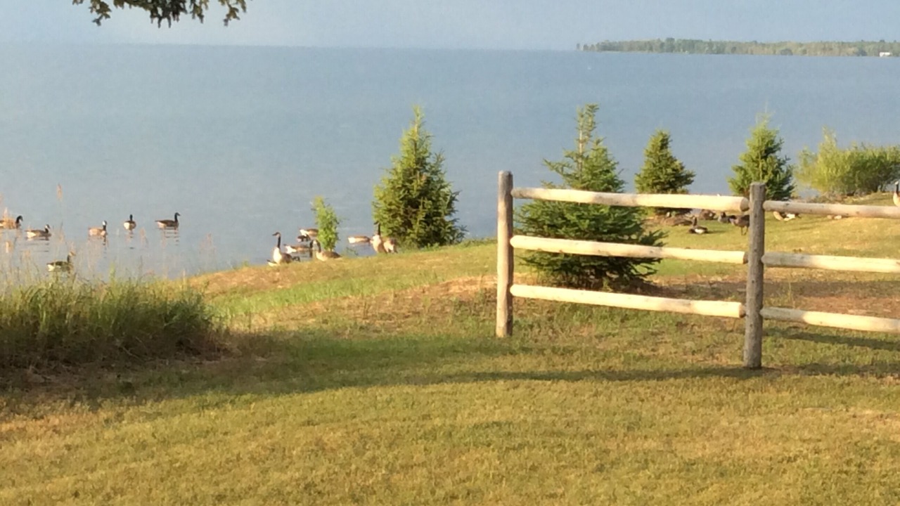 Photo of Outdoor in Nadeau