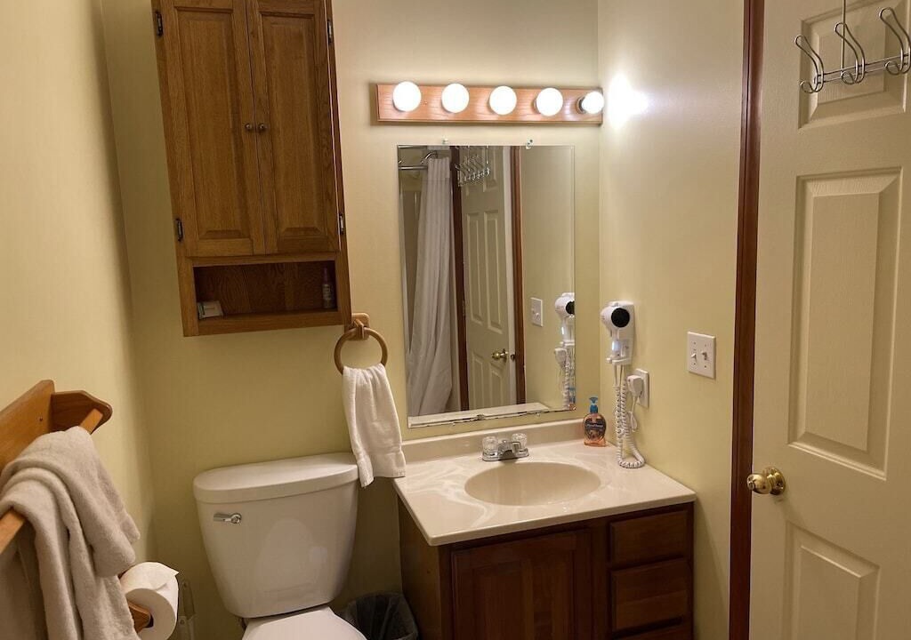 Photo of Bathroom in Christmas