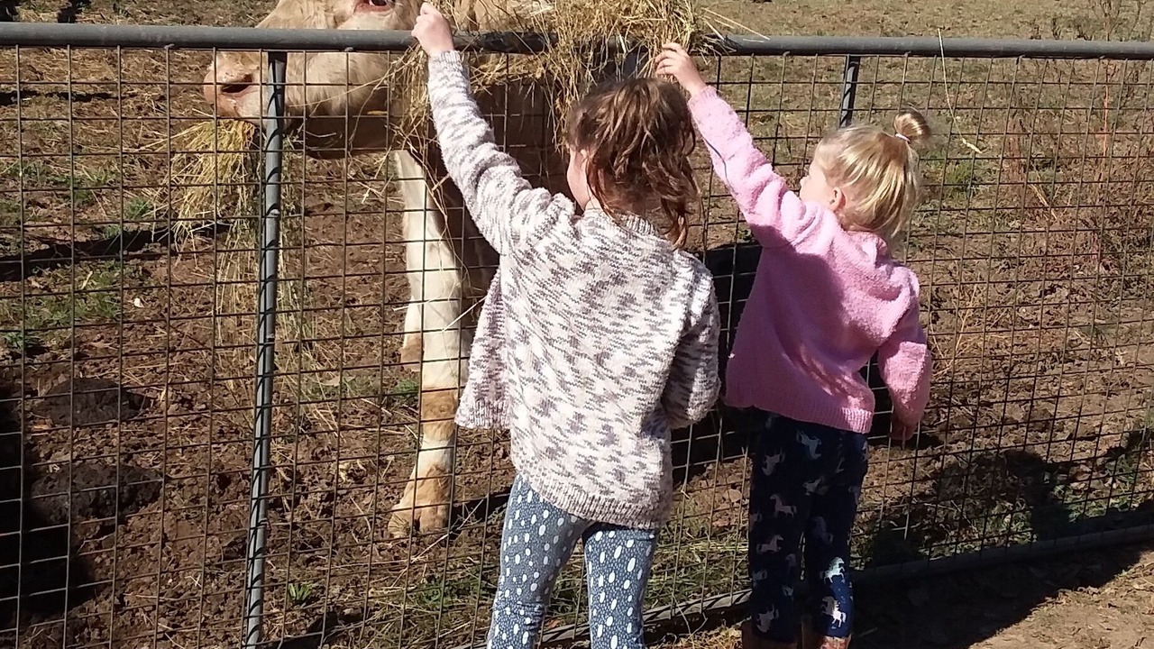 Photo of Others in Jamieson