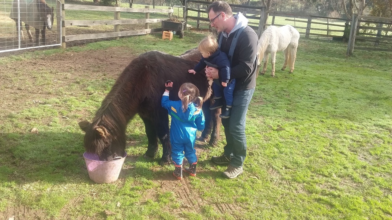 Photo of Others in Jamieson