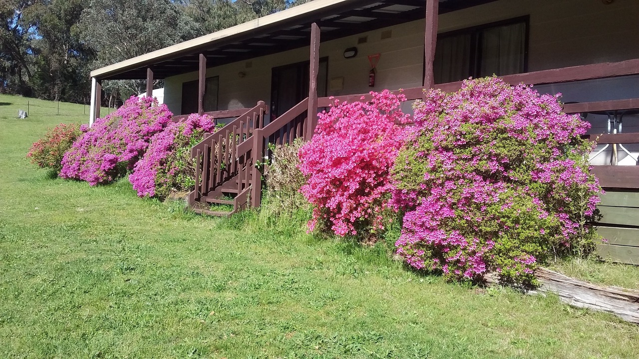 Photo of Outdoor in Jamieson