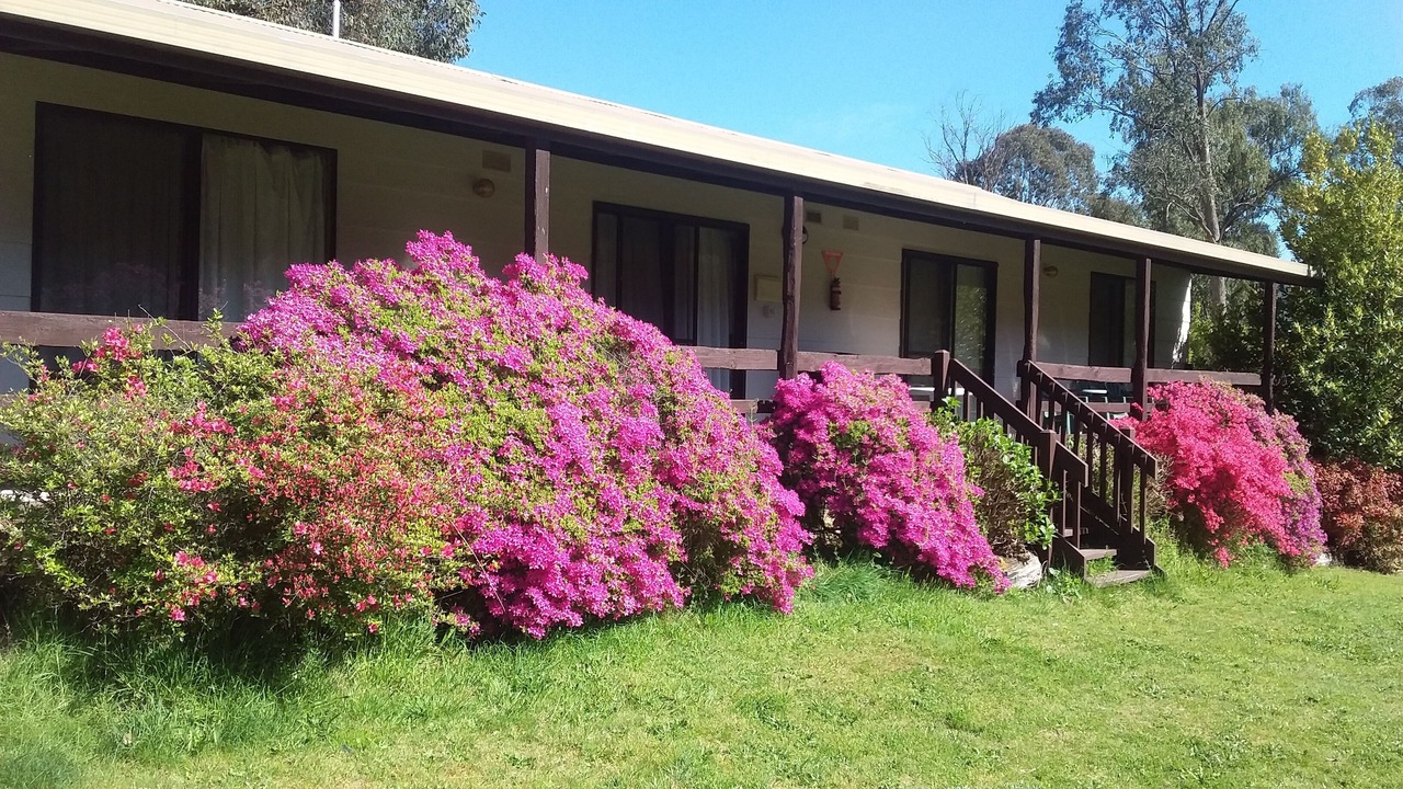 Photo of Outdoor in Jamieson