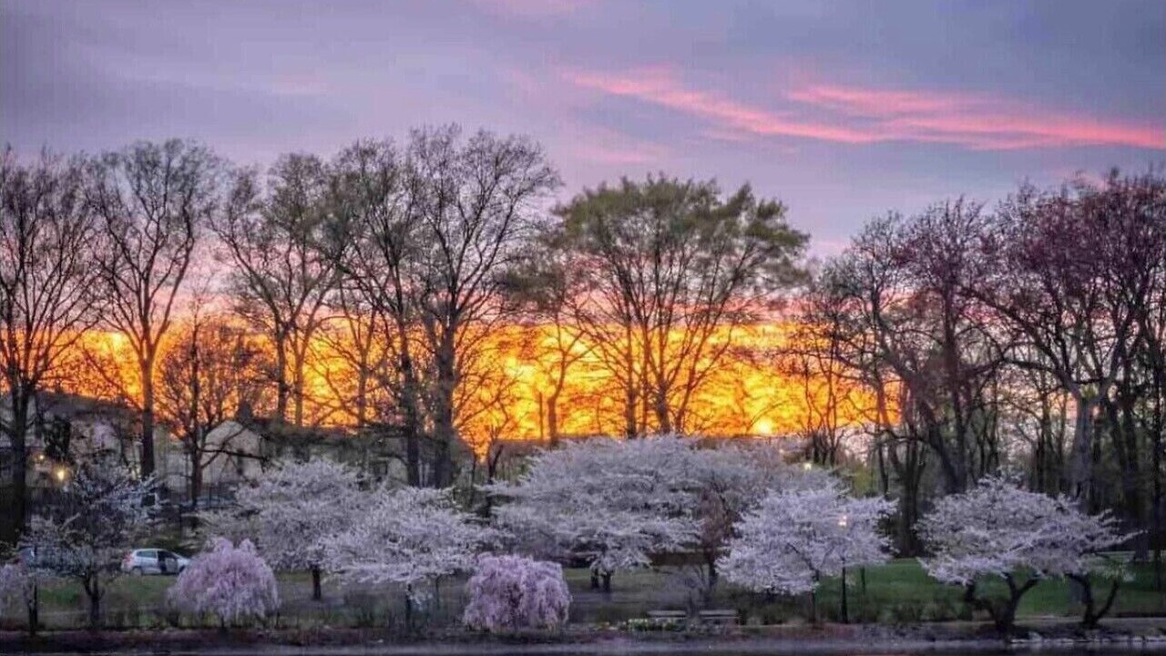 Photo of Others in Ampere