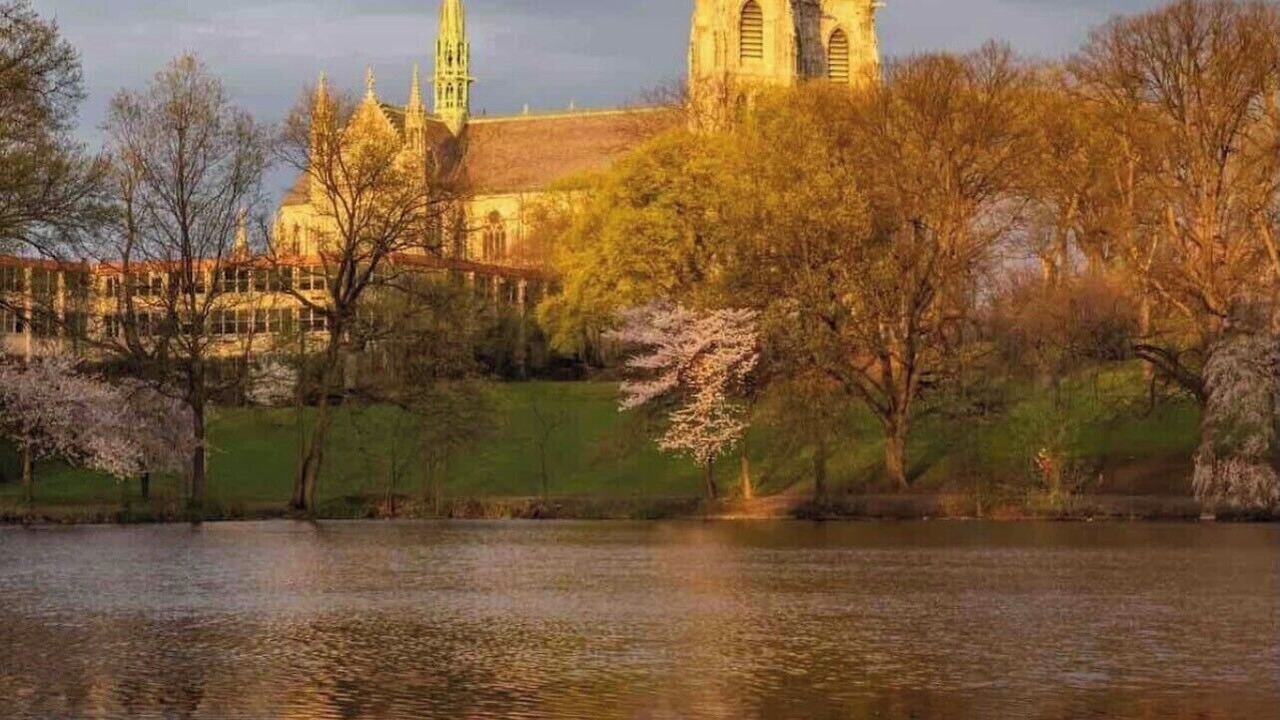 Photo of Others in Ampere