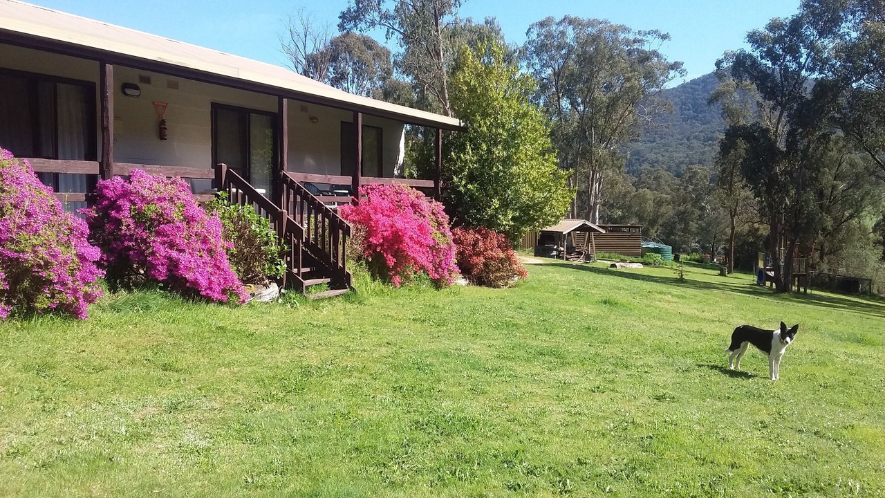 Photo of Outdoor in Jamieson