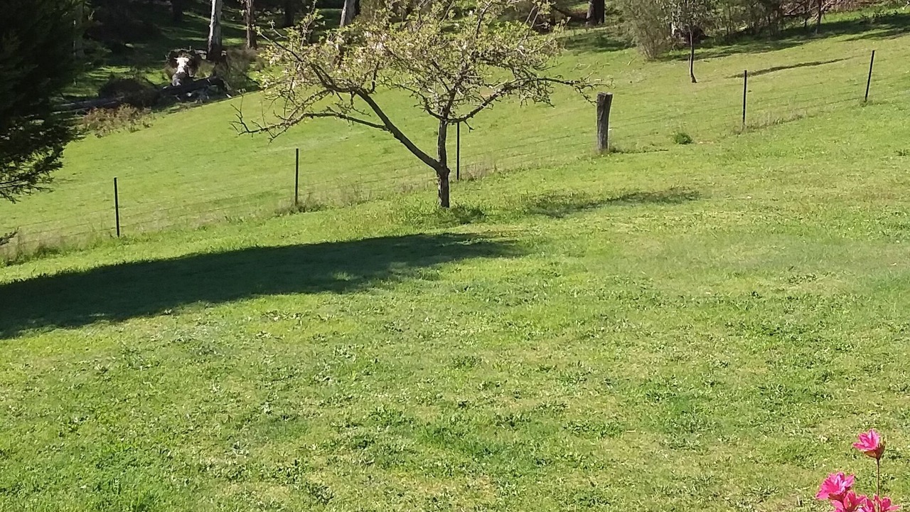 Photo of Outdoor in Jamieson