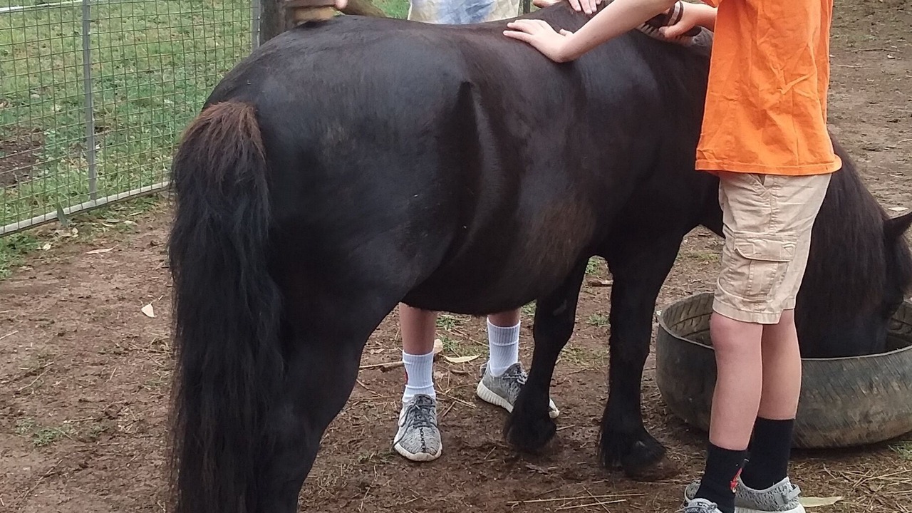 Photo of Others in Jamieson