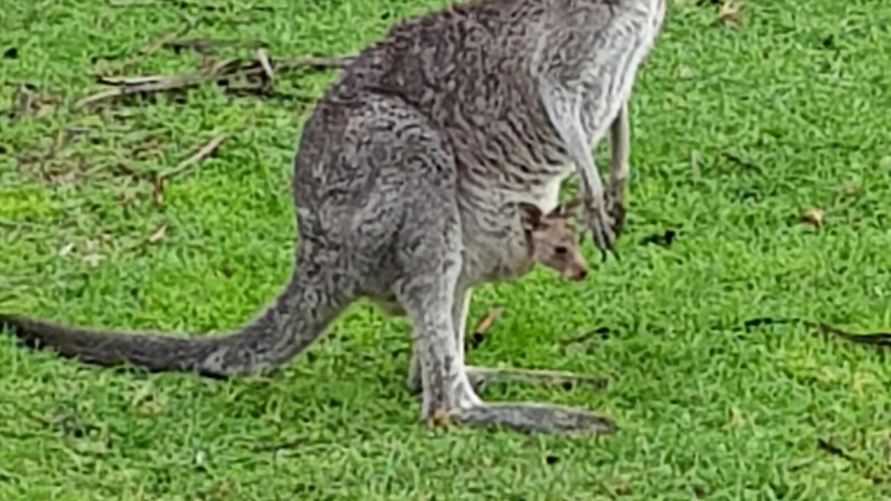 Photo of Outdoor in Jamieson