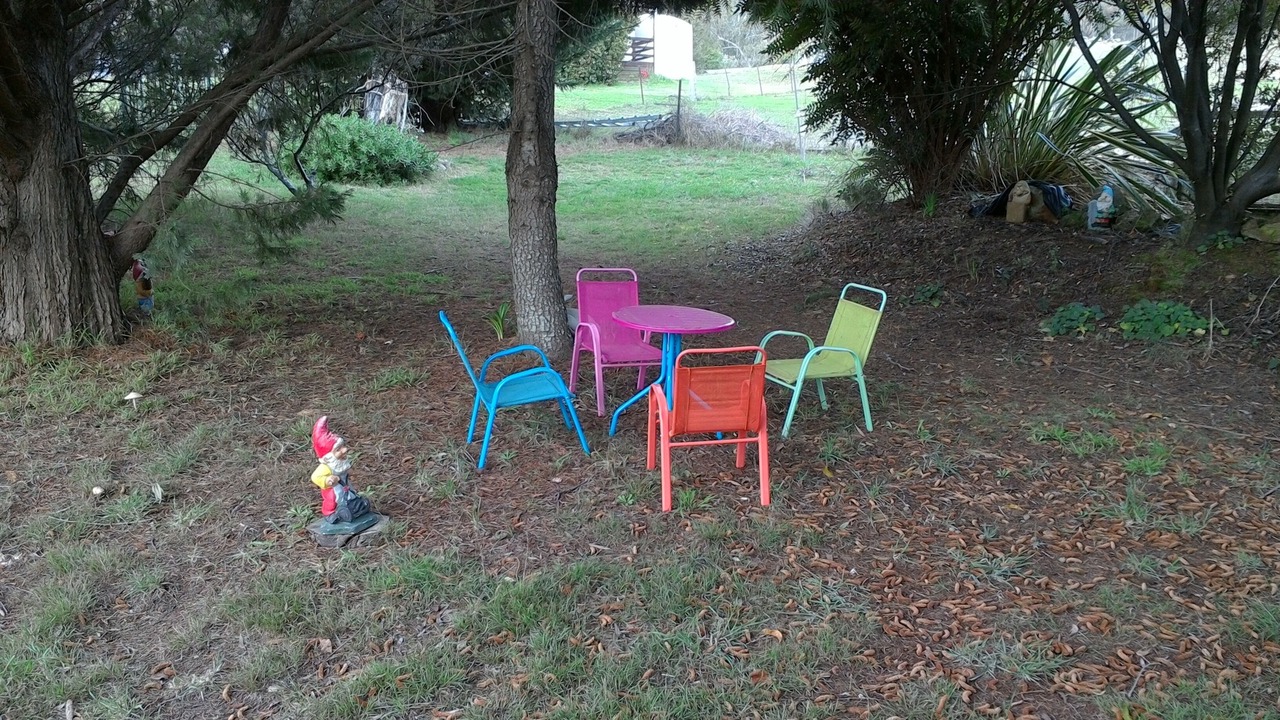 Photo of Outdoor in Jamieson