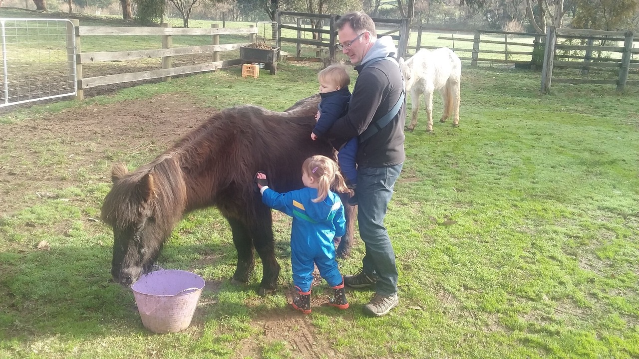 Photo of Others in Jamieson