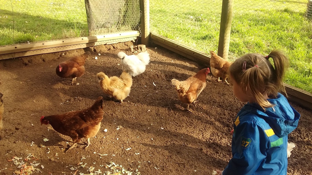 Photo of Outdoor in Jamieson