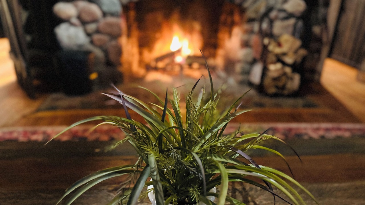 Photo of Livingroom in Duluth
