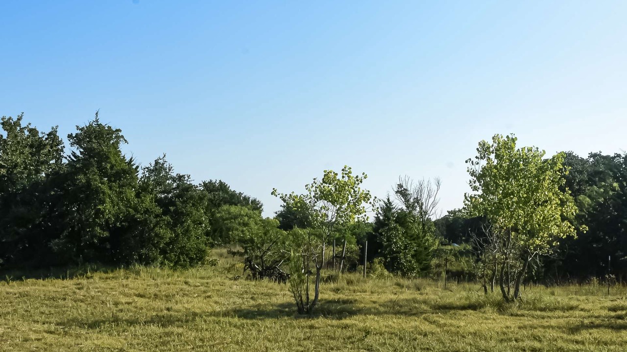 Photo of Others in Springtown