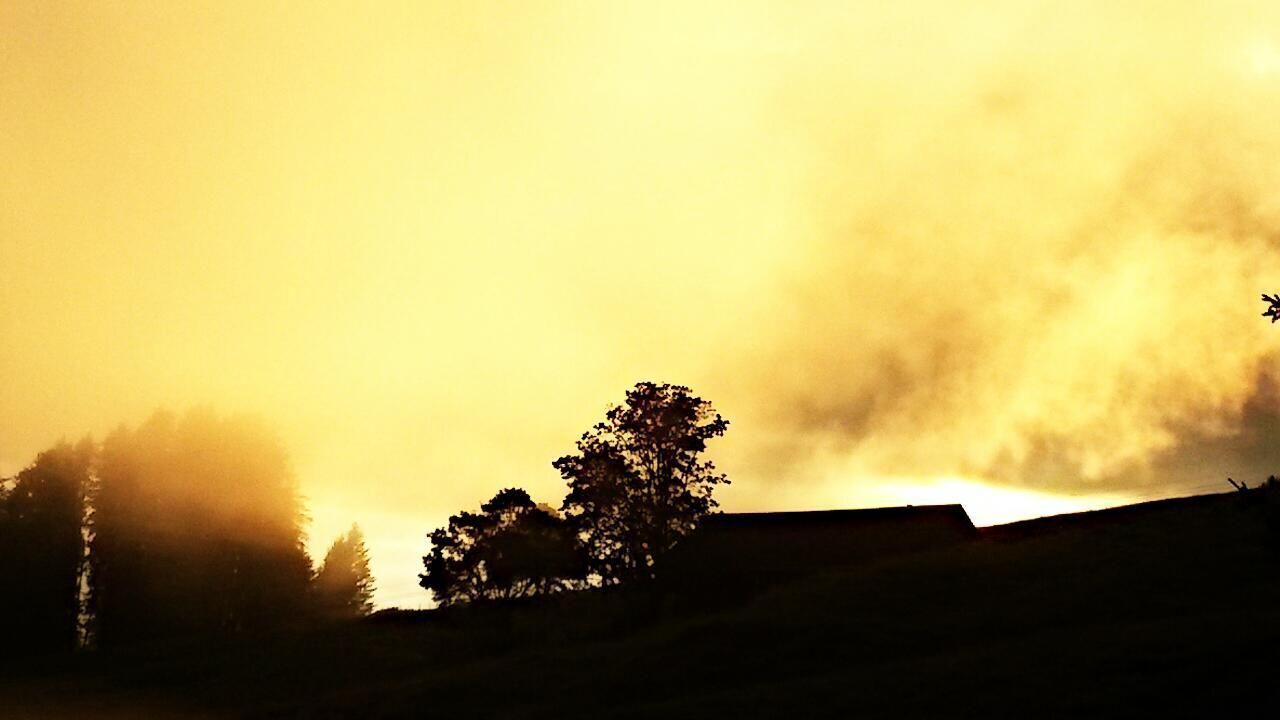 Photo of Others in Rigi Kaltbad