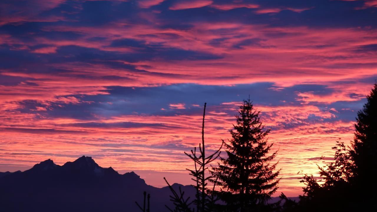 Photo of Others in Rigi Kaltbad