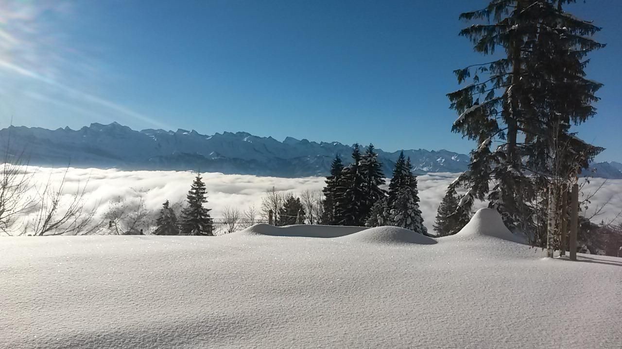 Photo of Others in Rigi Kaltbad