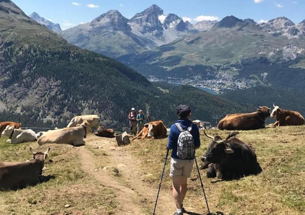 Photo of Others in Pontresina