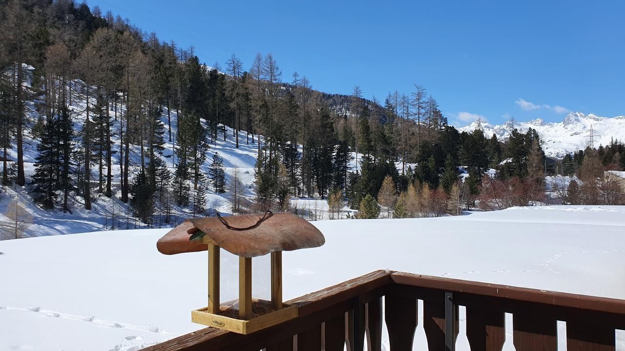 Photo of Others in Pontresina