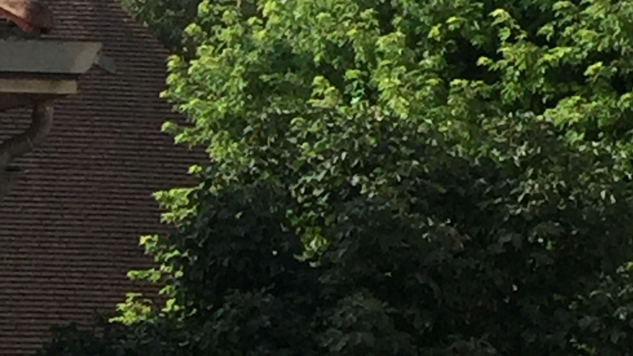 Photo of Outdoor in Chatillon-sur-Seine