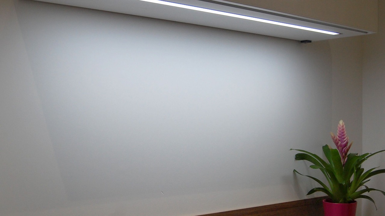 Photo of Others in Fouras