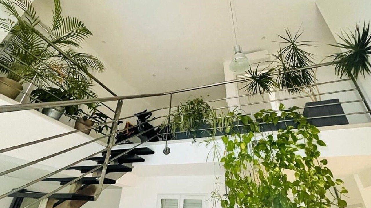 Photo of Others in Allegre Les Fumades