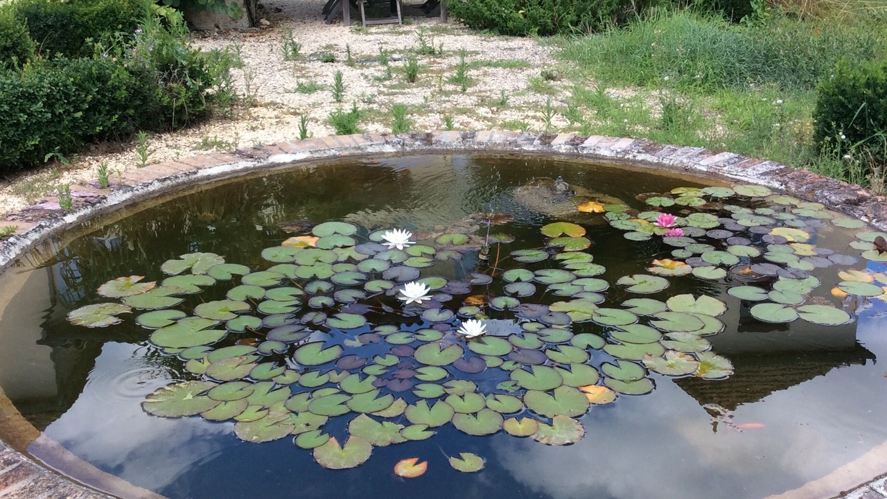 Photo of Outdoor in Lisle-sur-Tarn