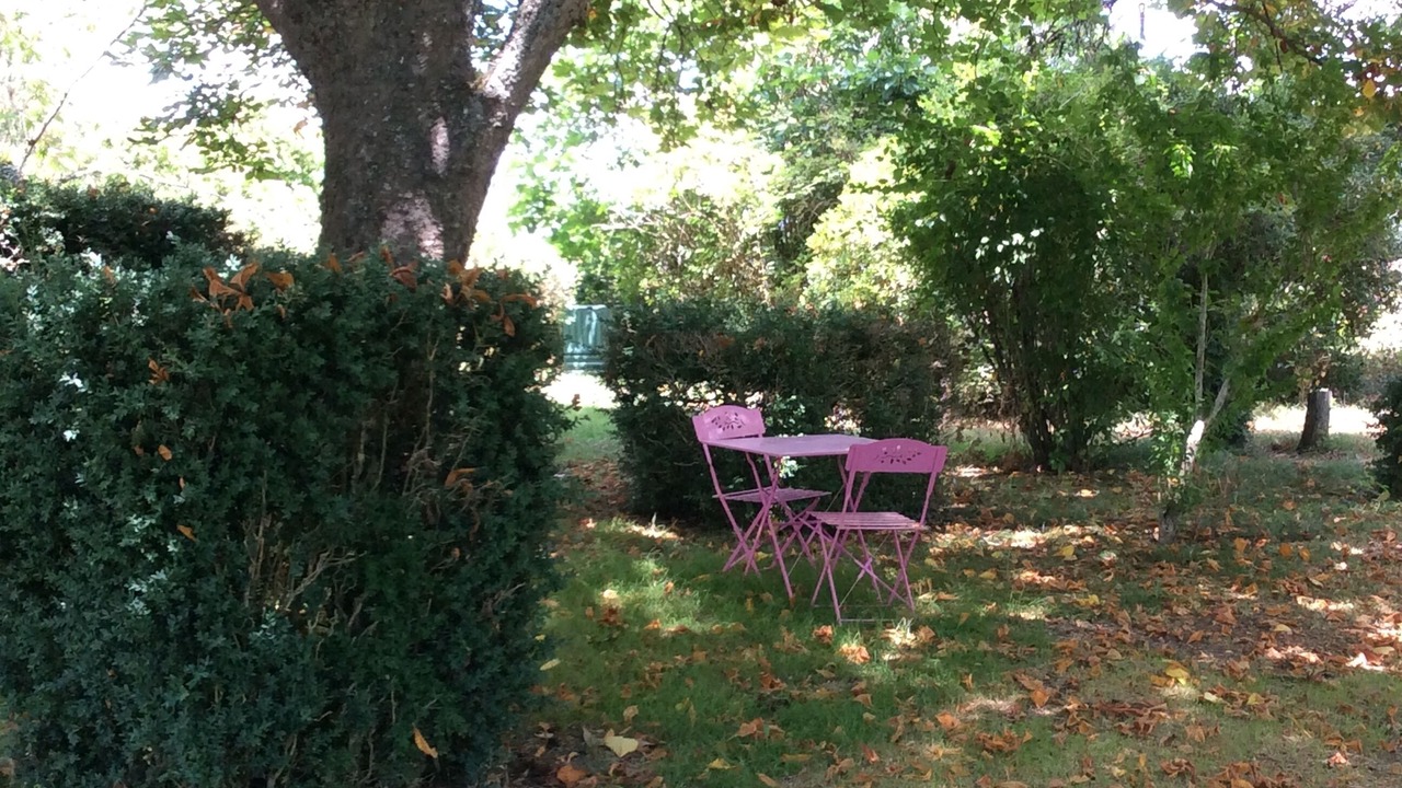 Photo of Outdoor in Lisle-sur-Tarn