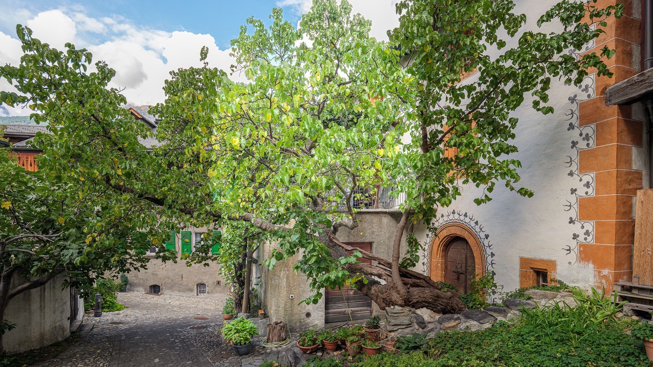 Photo of Outdoor in Visp